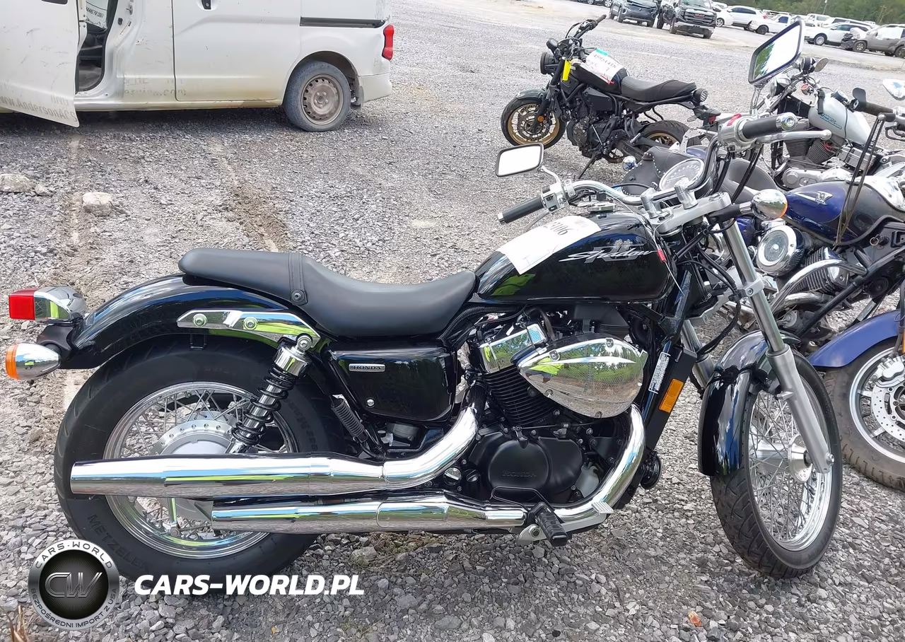 2013 Honda Vt750 S VIN:JH2RC5814DK300084 - 12
