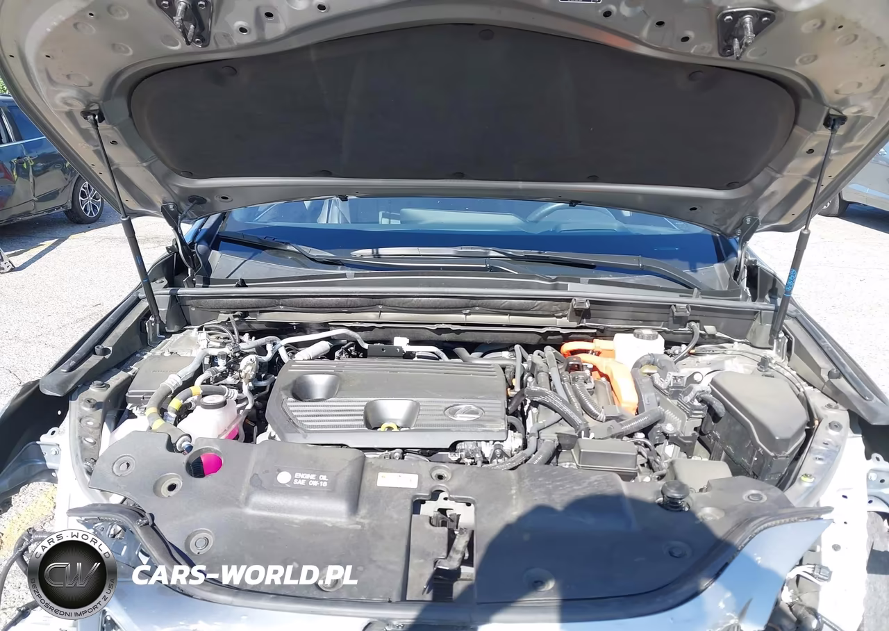 2024 Lexus Nx 450H+ F Sport Handling VIN:JTJKKCFZXR2037291 - 10