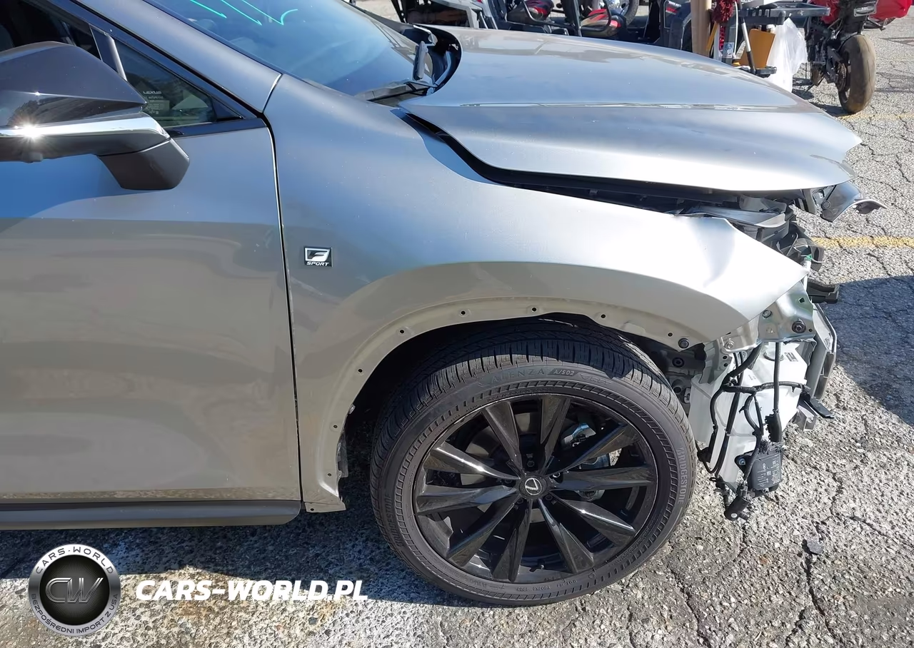 2024 Lexus Nx 450H+ F Sport Handling VIN:JTJKKCFZXR2037291 - 19