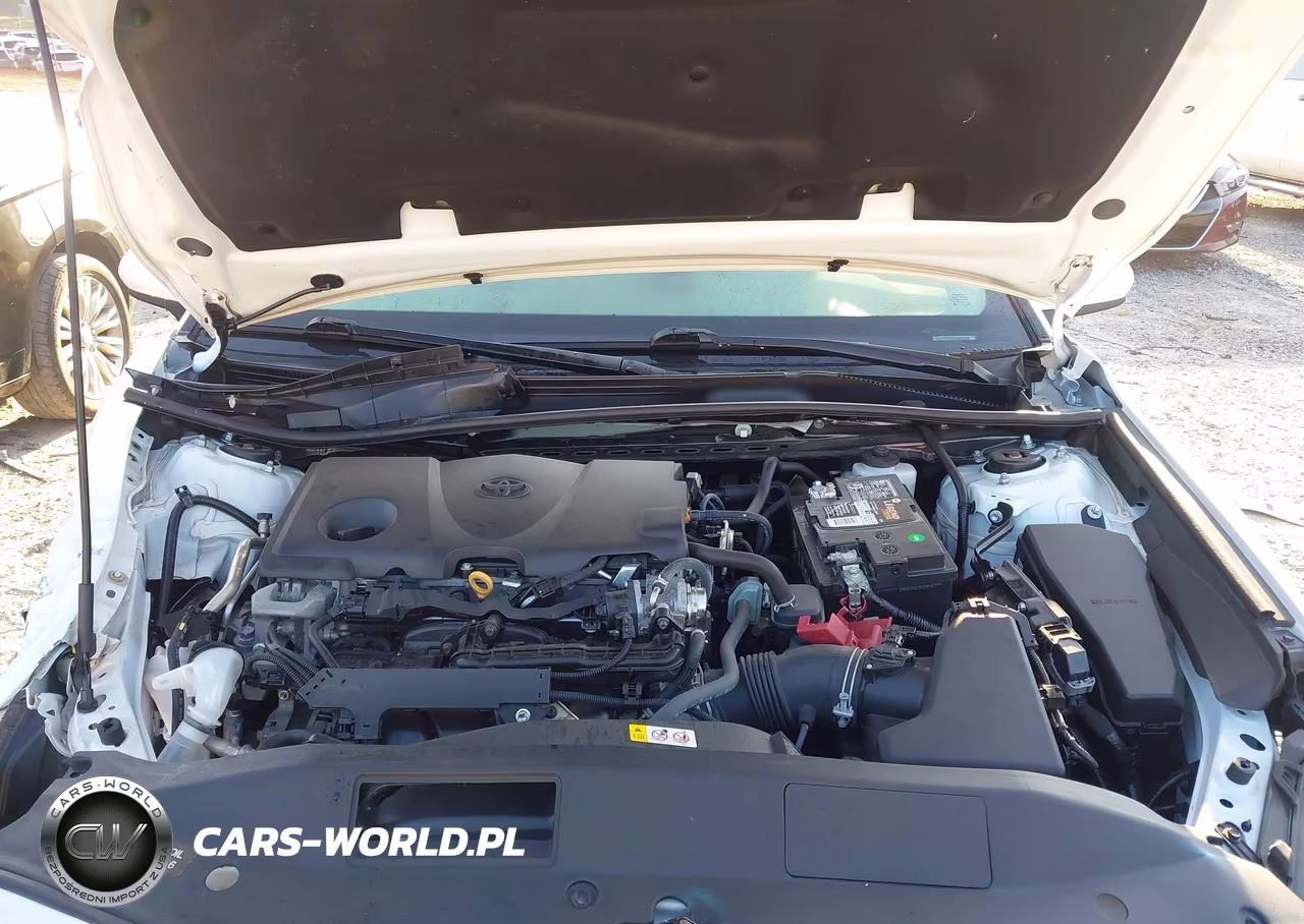 2023 Toyota Camry Le VIN:4T1C11AK4PU835551 - 10