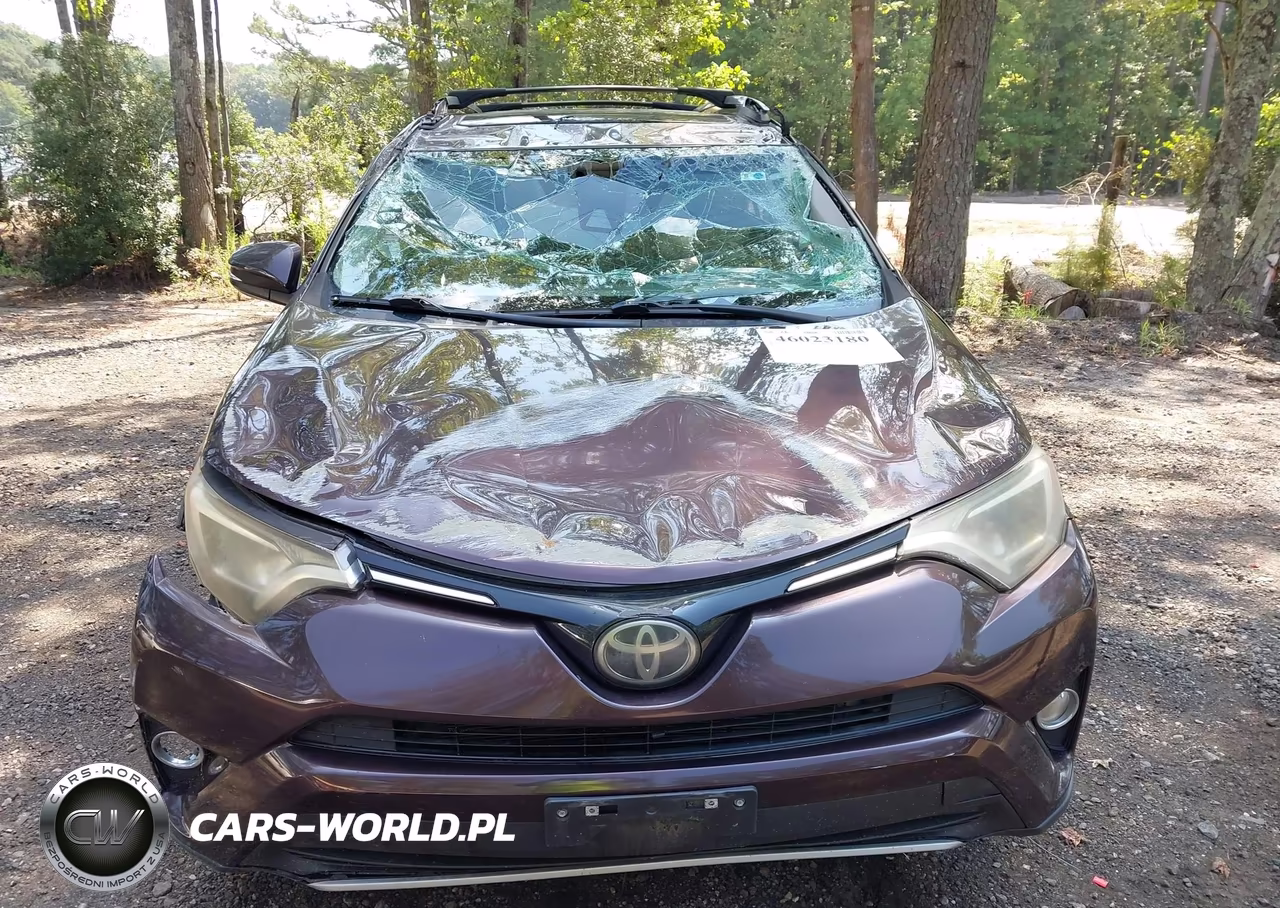 2018 Toyota Rav4 Xle VIN:2T3RFREV7JW739569 - 12