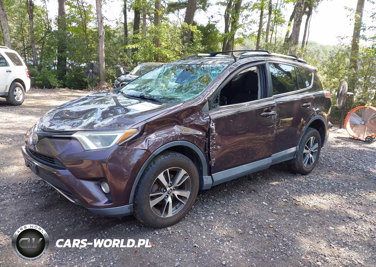 2018 Toyota Rav4 Xle VIN:2T3RFREV7JW739569 - 2