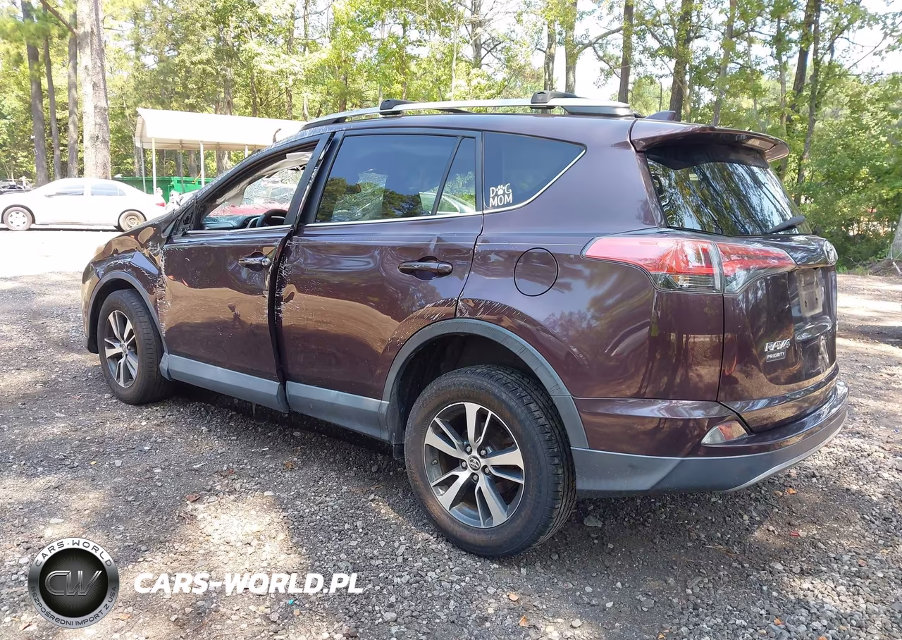 2018 Toyota Rav4 Xle VIN:2T3RFREV7JW739569 - 3