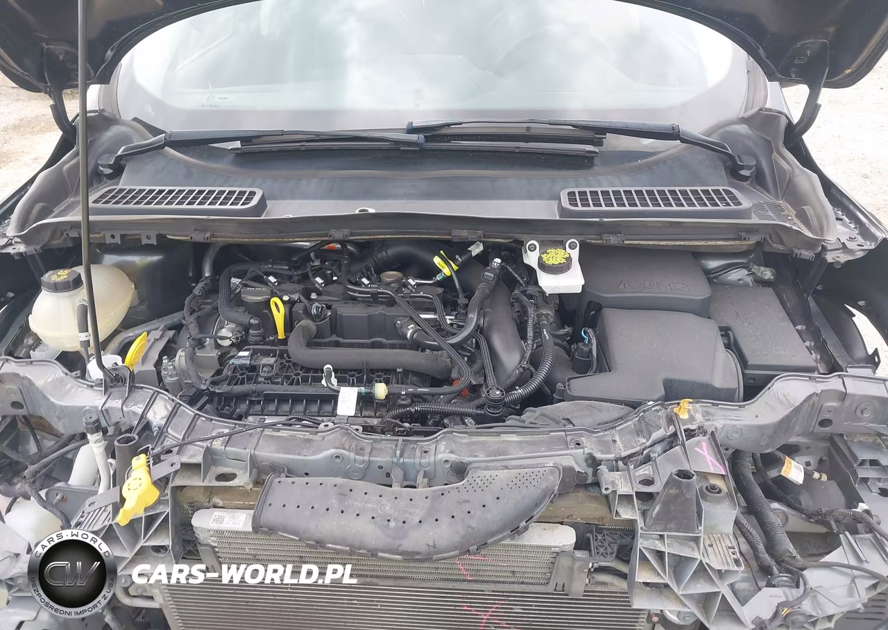 2019 Ford Escape Sel VIN:1FMCU9HD6KUB50909 - 10
