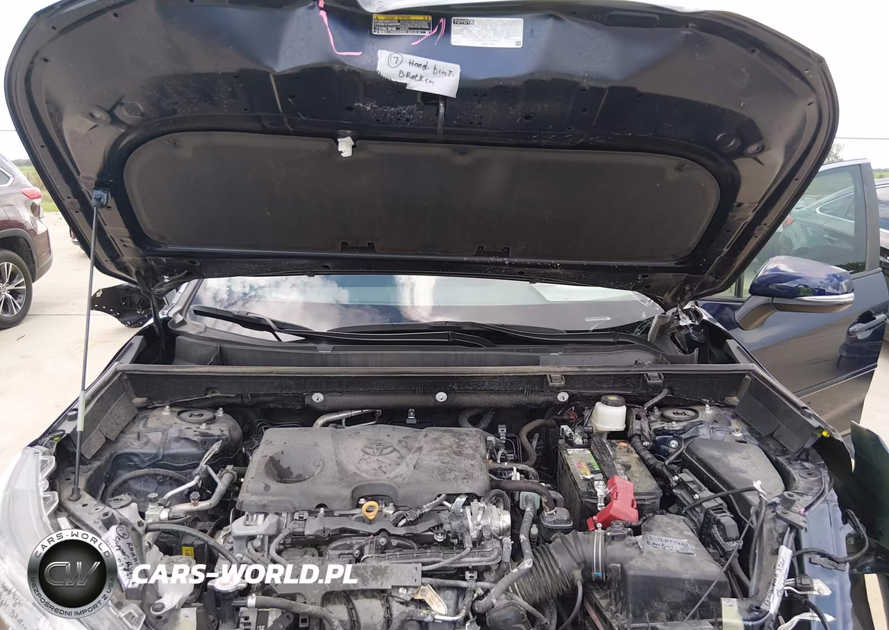 2025 Toyota Rav4 Xle VIN:2T3W1RFV3SW398673 - 10