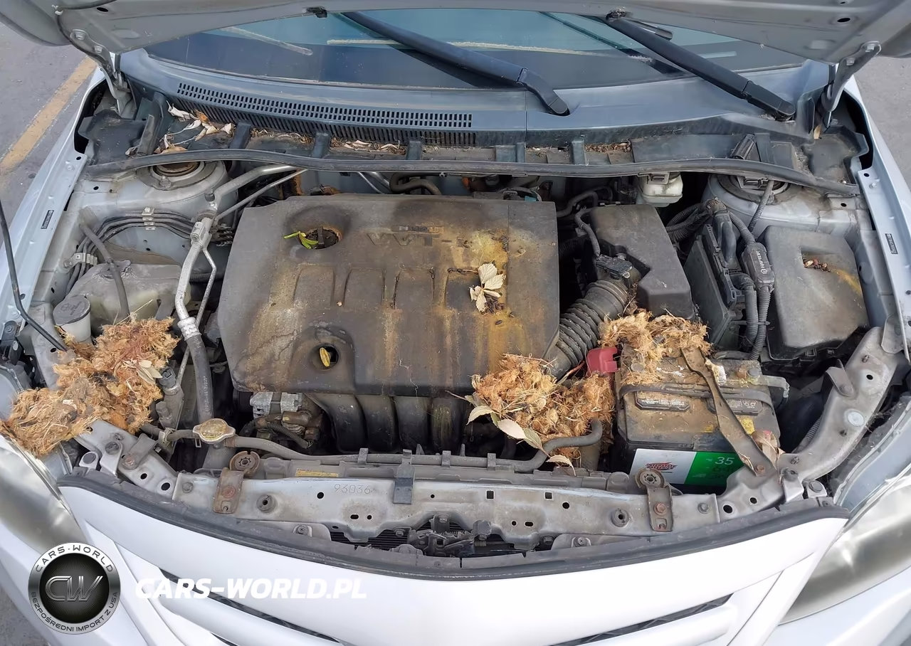 2011 Toyota Corolla S VIN:2T1BU4EE7BC656620 - 10