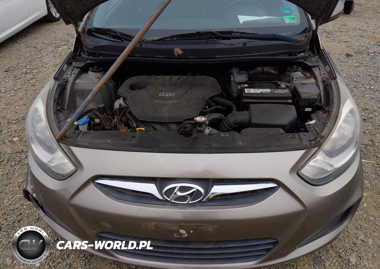 2014 Hyundai Accent Gs VIN:KMHCT5AE6EU181418 - 10