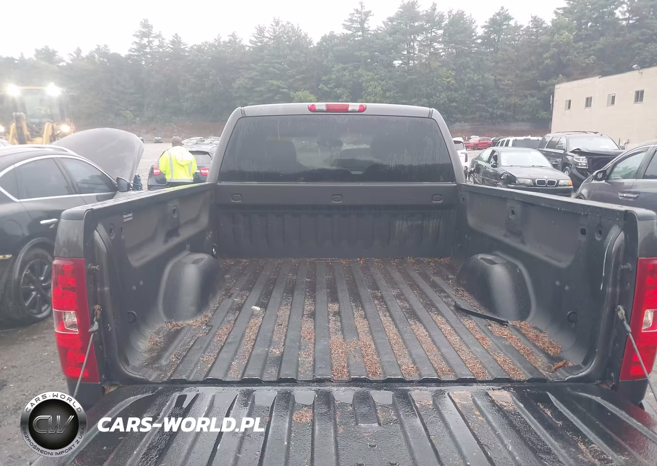 2010 Chevrolet Silverado 1500 Lt VIN:1GCSKSE37AZ250012 - 16