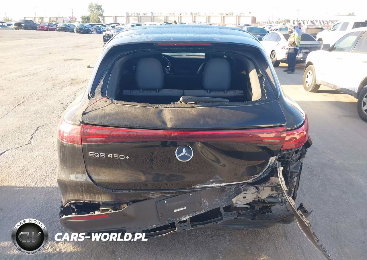2024 Mercedes-Benz Eqs Eqs 450+ VIN:4JGDM2DB5RA034824 - 16