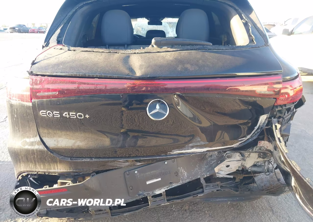 2024 Mercedes-Benz Eqs Eqs 450+ VIN:4JGDM2DB5RA034824 - 6