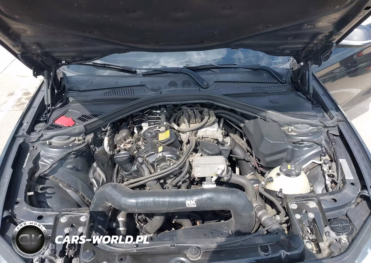 2016 BMW 228I VIN:WBA1F5C55GV343677 - 10