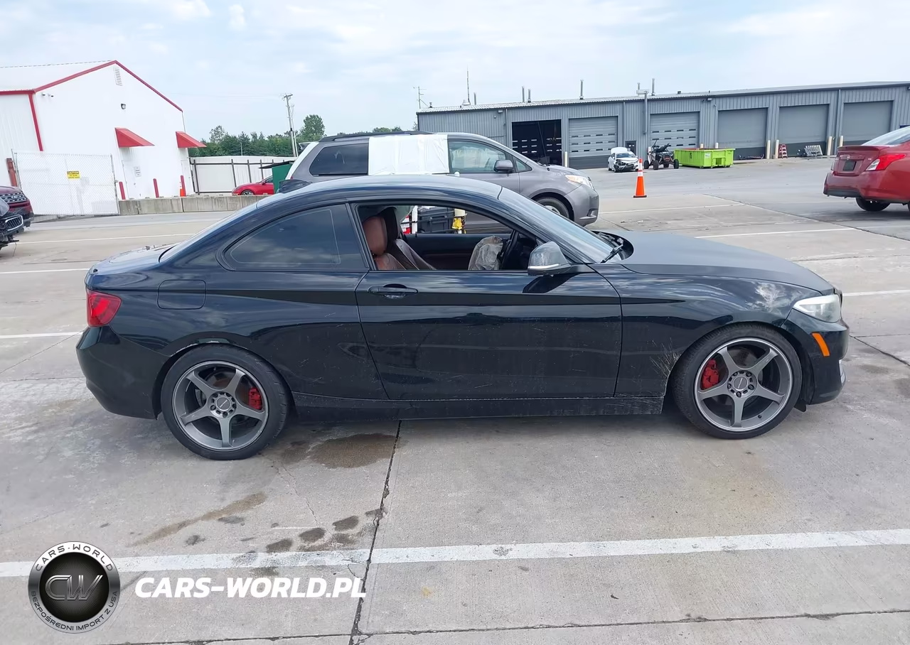 2016 BMW 228I VIN:WBA1F5C55GV343677 - 13