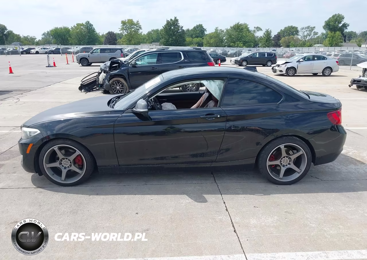 2016 BMW 228I VIN:WBA1F5C55GV343677 - 14