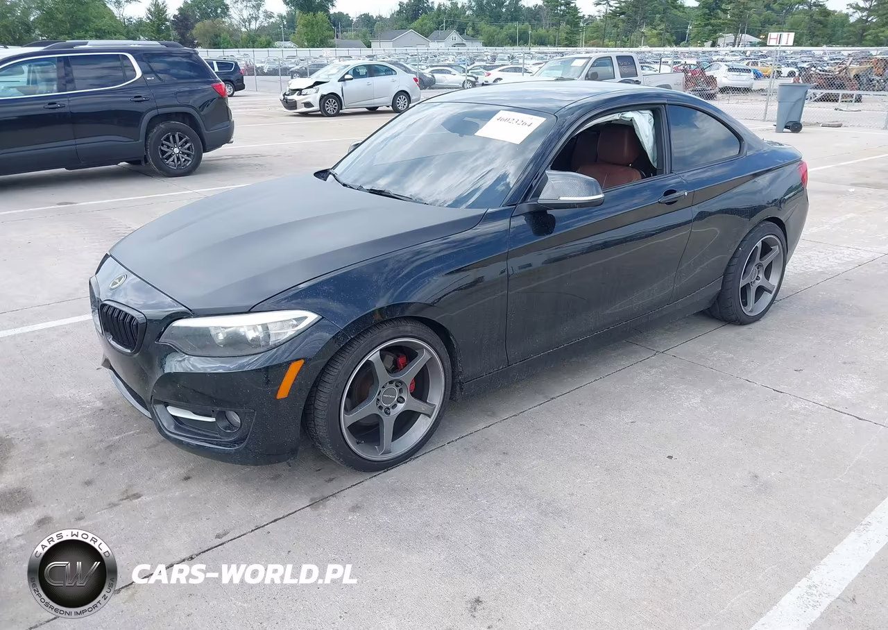 2016 BMW 228I VIN:WBA1F5C55GV343677 - 2