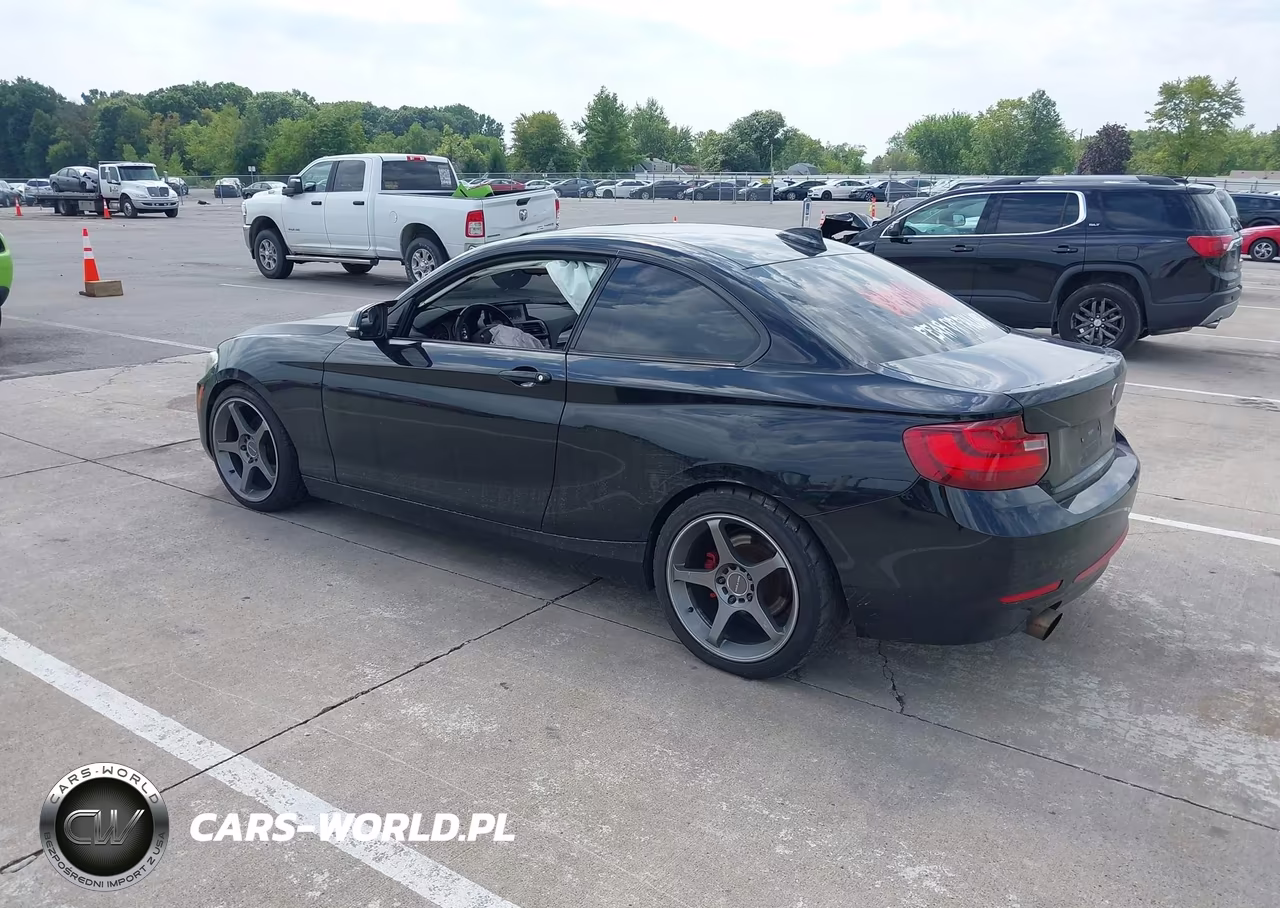 2016 BMW 228I VIN:WBA1F5C55GV343677 - 3