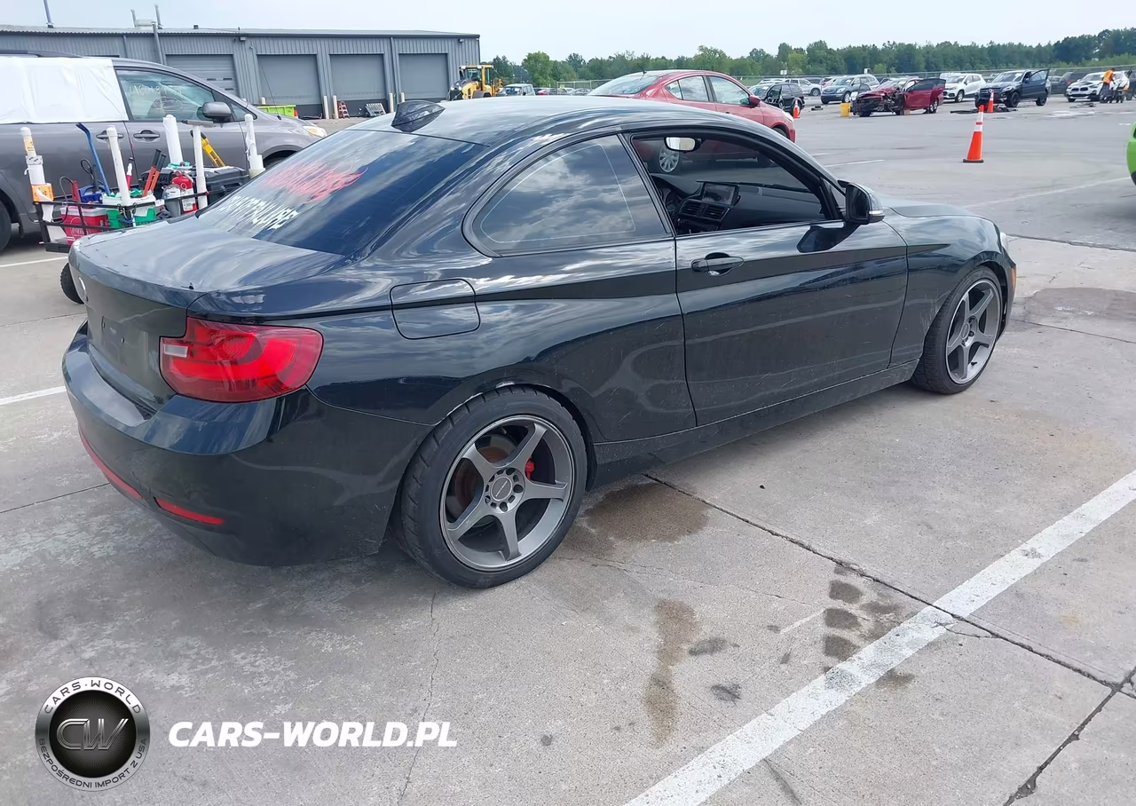 2016 BMW 228I VIN:WBA1F5C55GV343677 - 4