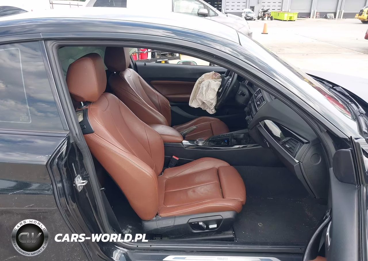 2016 BMW 228I VIN:WBA1F5C55GV343677 - 5