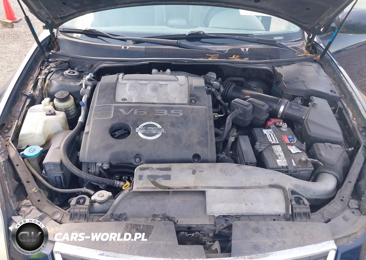2008 Nissan Maxima 3.5 Se VIN:1N4BA41E18C830316 - 10
