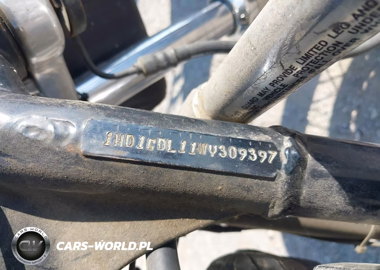 1998 Harley-Davidson Fxdl VIN:1HD1GDL11WY309397 - 10