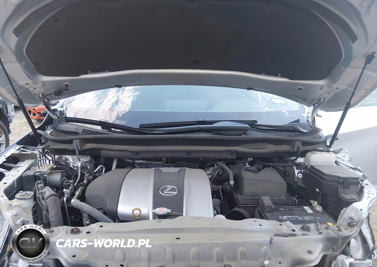 2019 Lexus Rx 350 VIN:2T2ZZMCA7KC146098 - 10