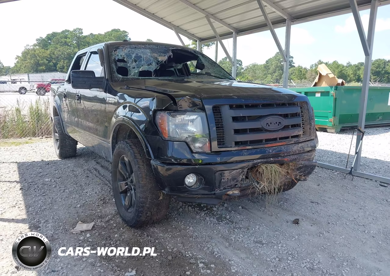 2012 Ford F-150 Fx4 – zdjęcie 1 z 16
