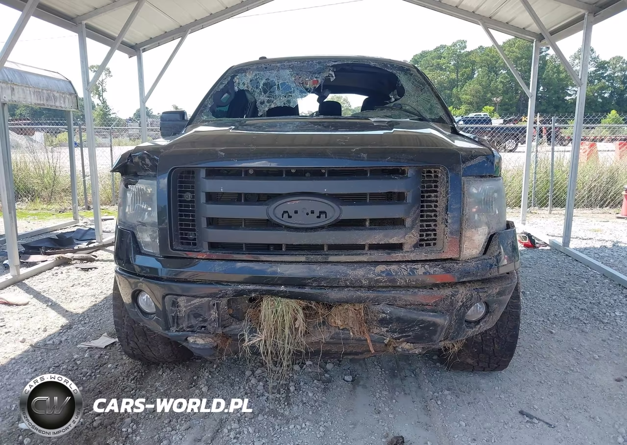 2012 Ford F-150 Fx4 VIN:1FTFW1EF3CKD76552 - 12