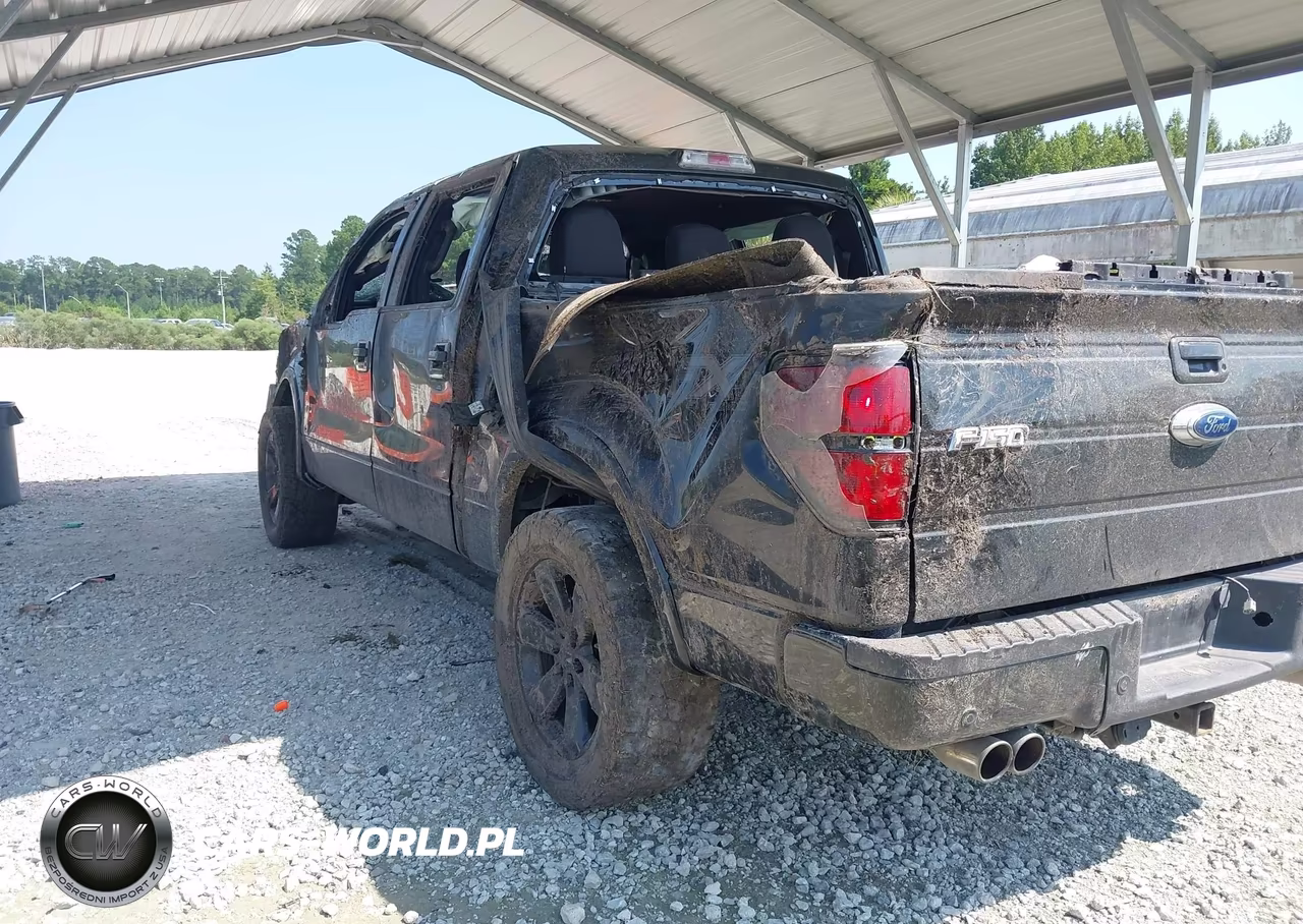 2012 Ford F-150 Fx4 VIN:1FTFW1EF3CKD76552 - 3