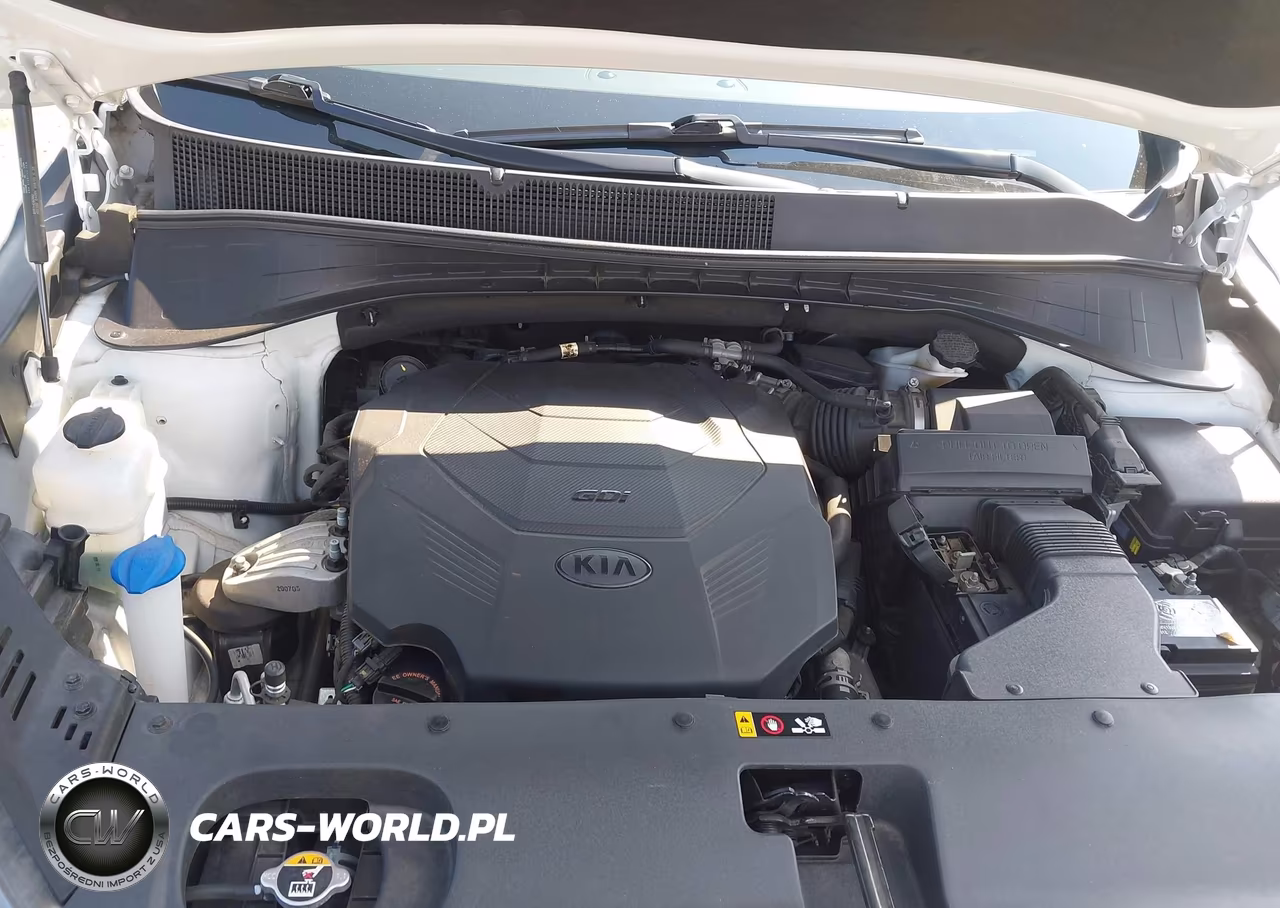 2020 Kia Sorento 3.3L Ex VIN:5XYPH4A5XLG709056 - 10