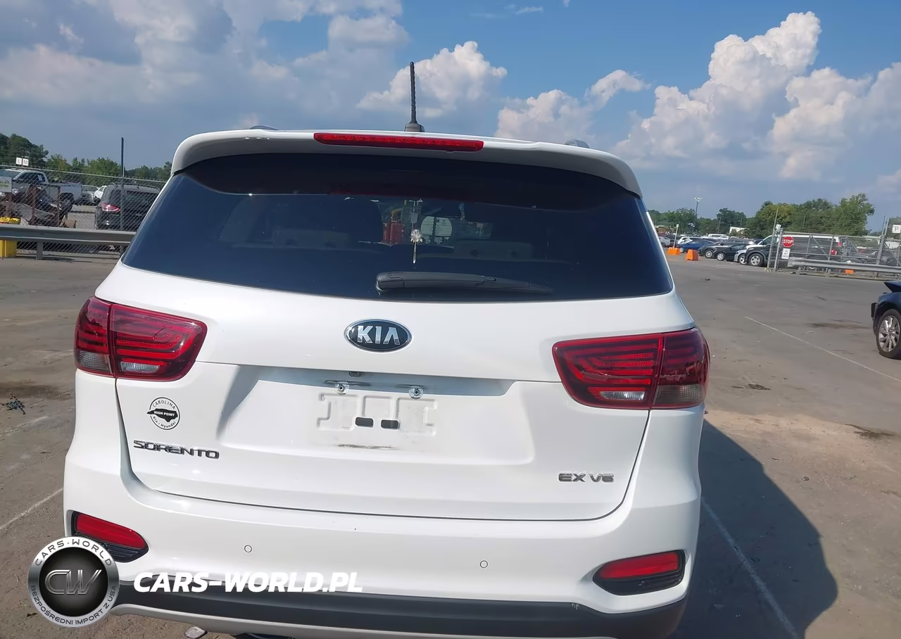 2020 Kia Sorento 3.3L Ex VIN:5XYPH4A5XLG709056 - 16
