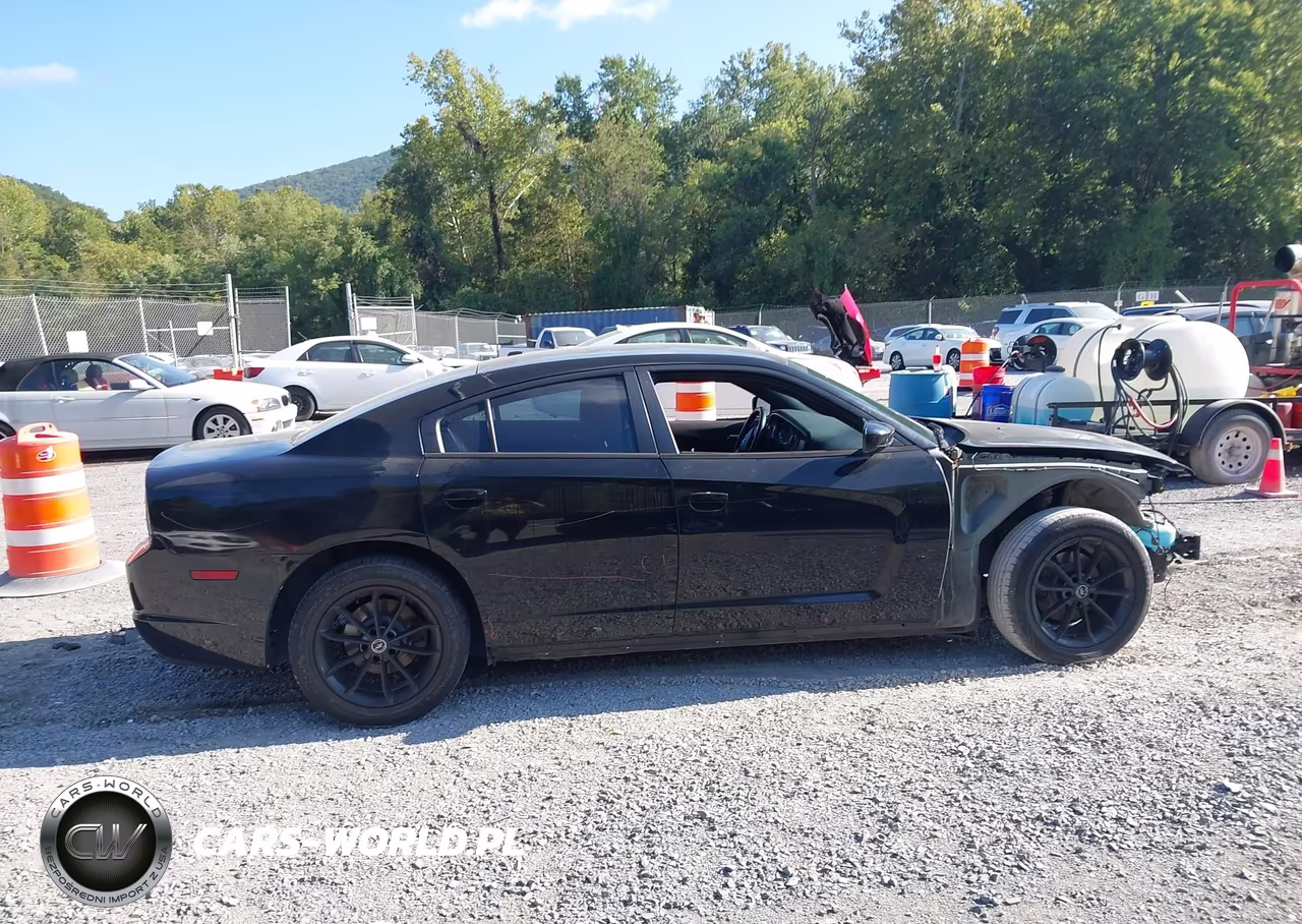 2013 Dodge Charger Sxt VIN:2C3CDXHG9DH705736 - 14