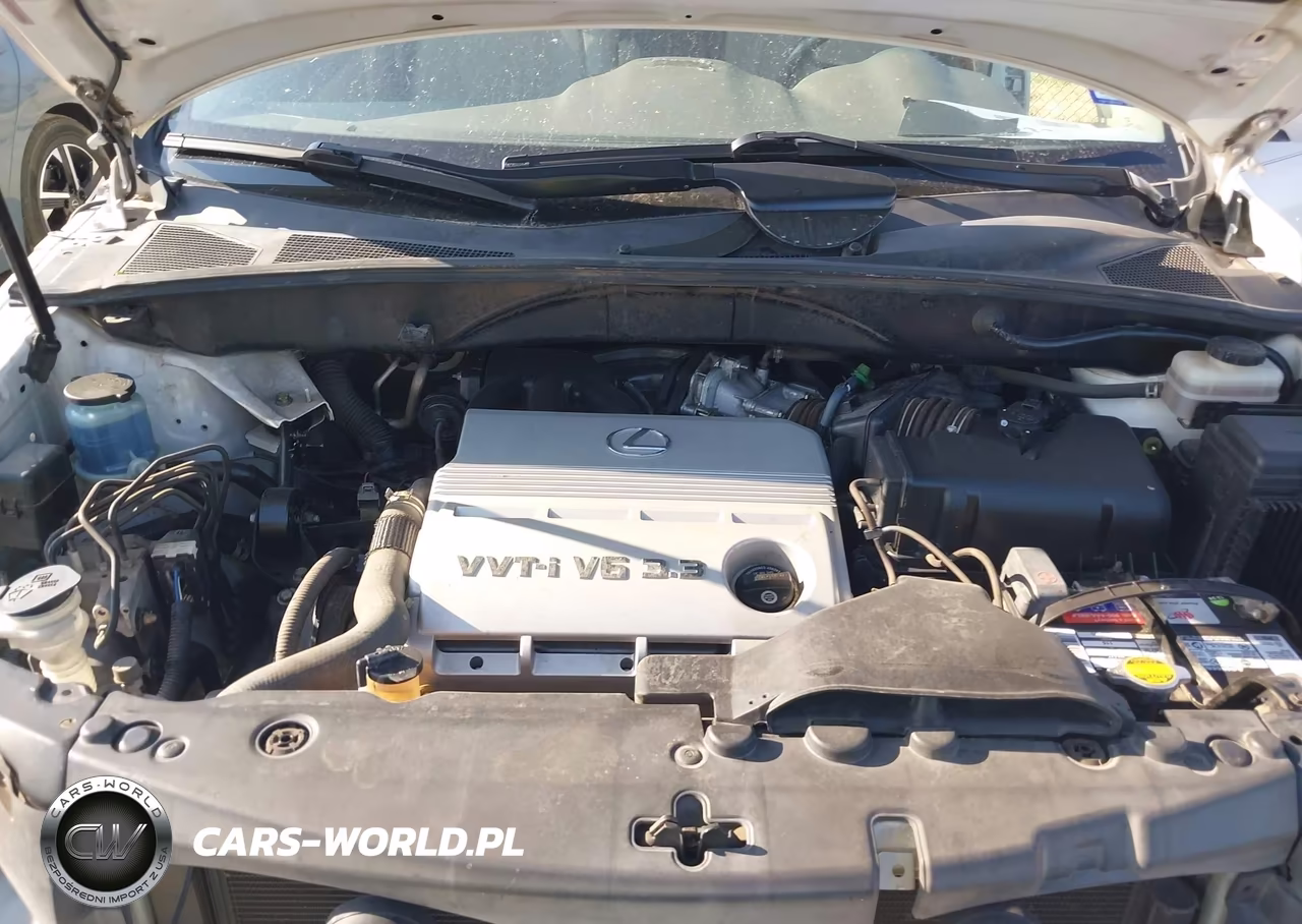 2004 Lexus Rx 330 VIN:JTJGA31U540030192 - 10