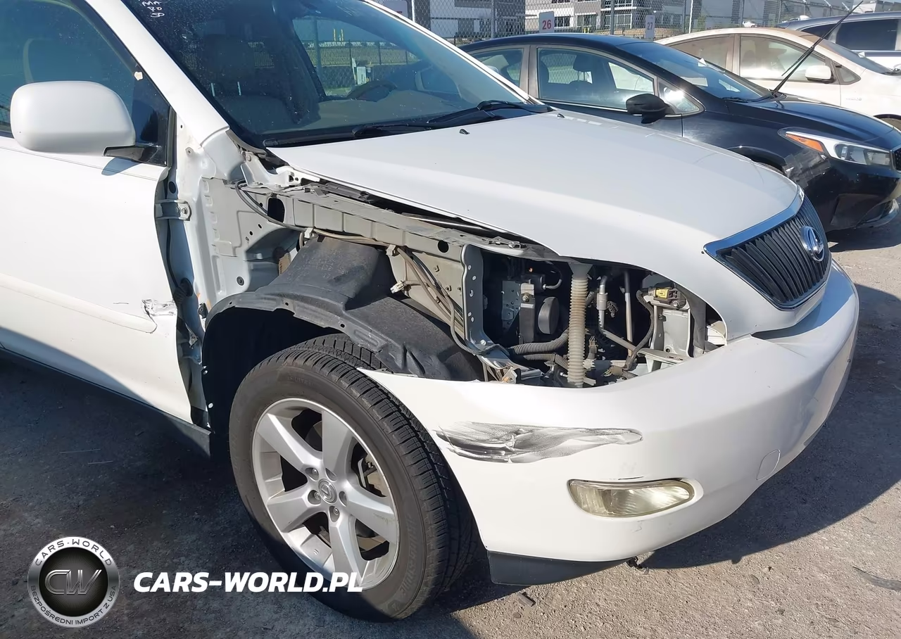 2004 Lexus Rx 330 VIN:JTJGA31U540030192 - 6