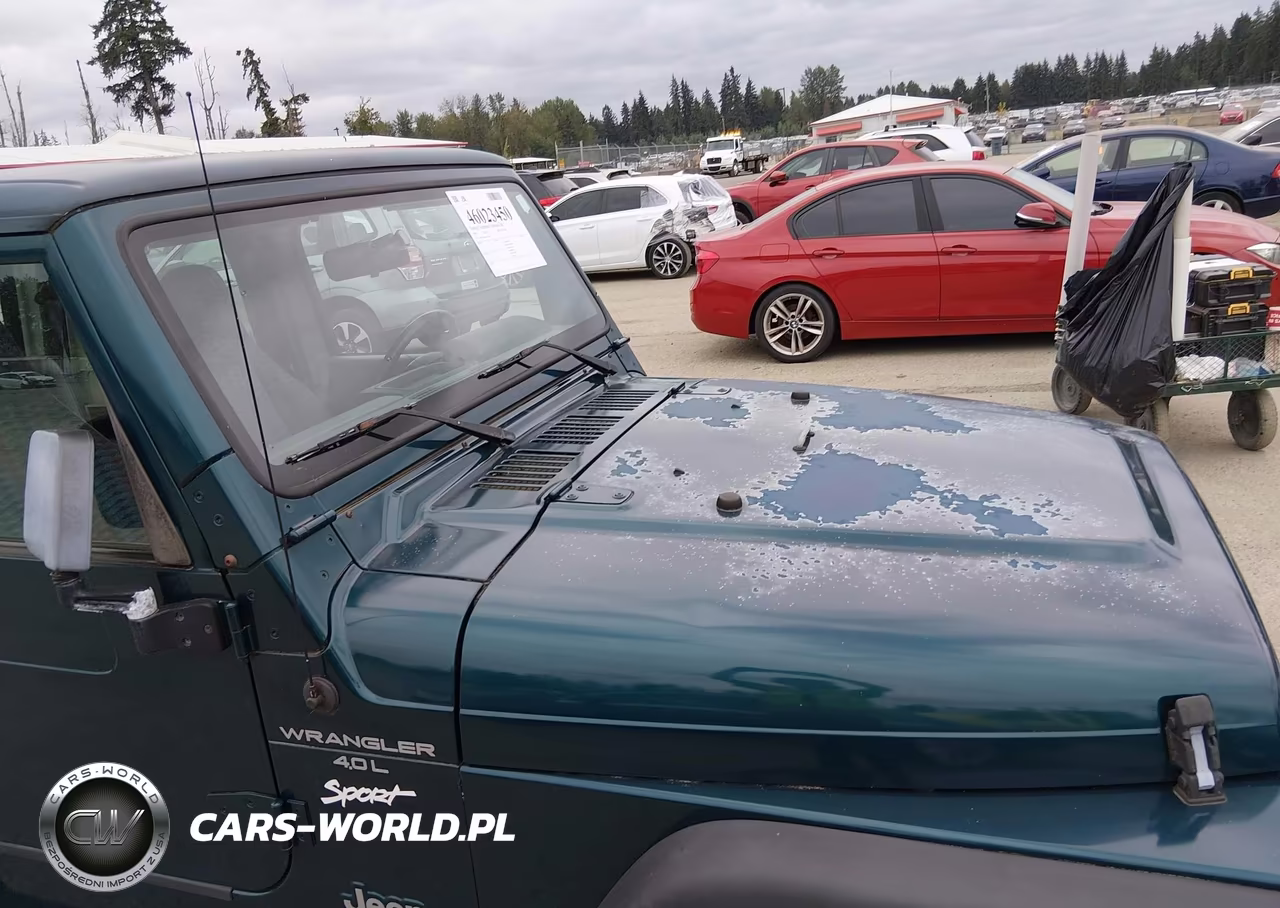 1997 Jeep Wrangler Sport VIN:1J4FY19S4VP509255 - 15