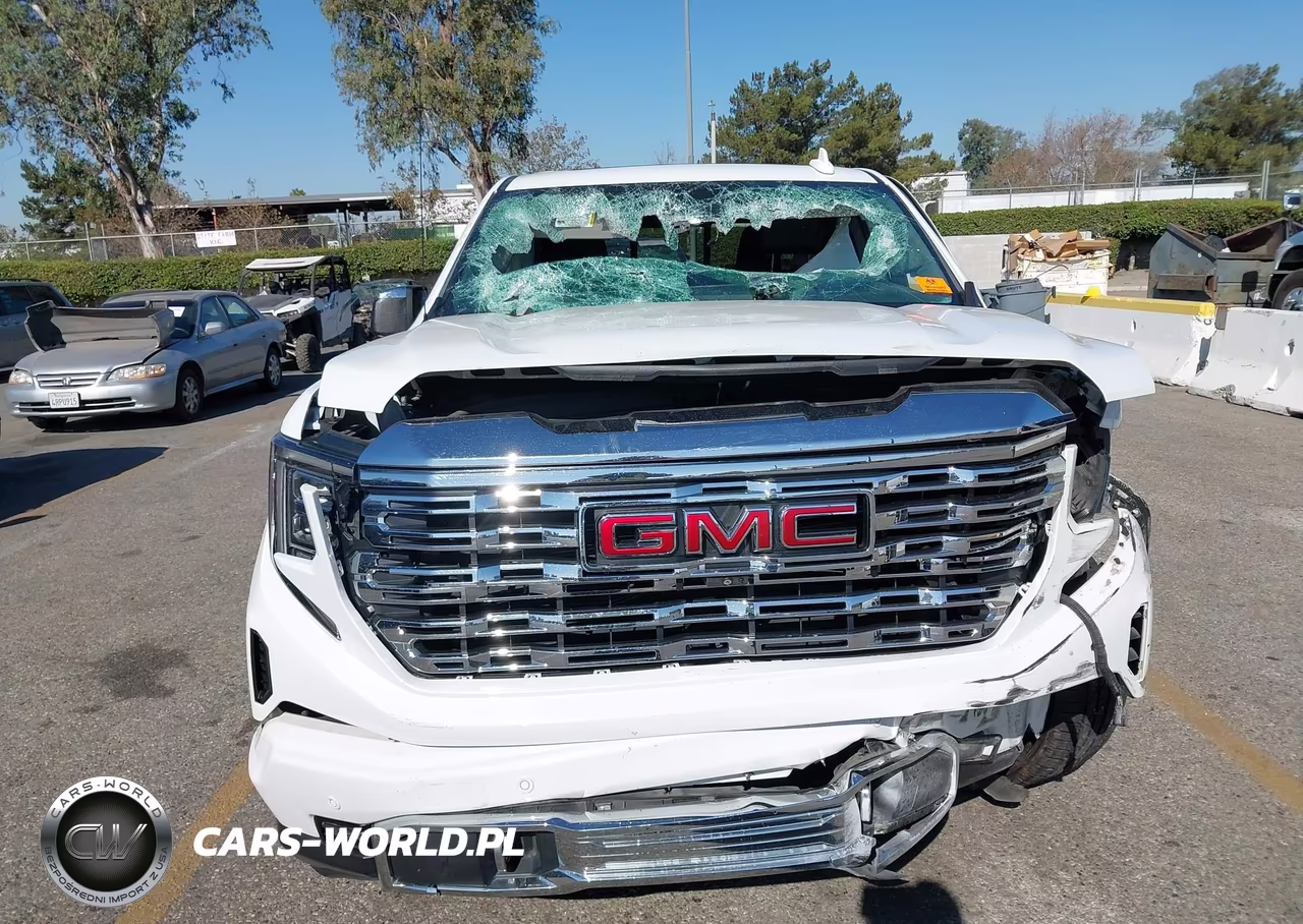 2023 GMC Sierra 1500 4Wd Short Box Denali VIN:3GTUUGED8PG109239 - 12
