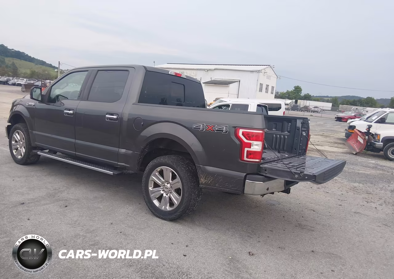 2020 Ford F-150 Xlt VIN:1FTEW1EP1LKE18379 - 3
