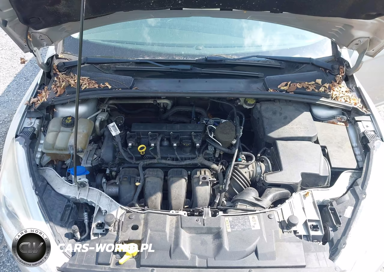2016 Ford Focus Se VIN:1FADP3K27GL217203 - 10