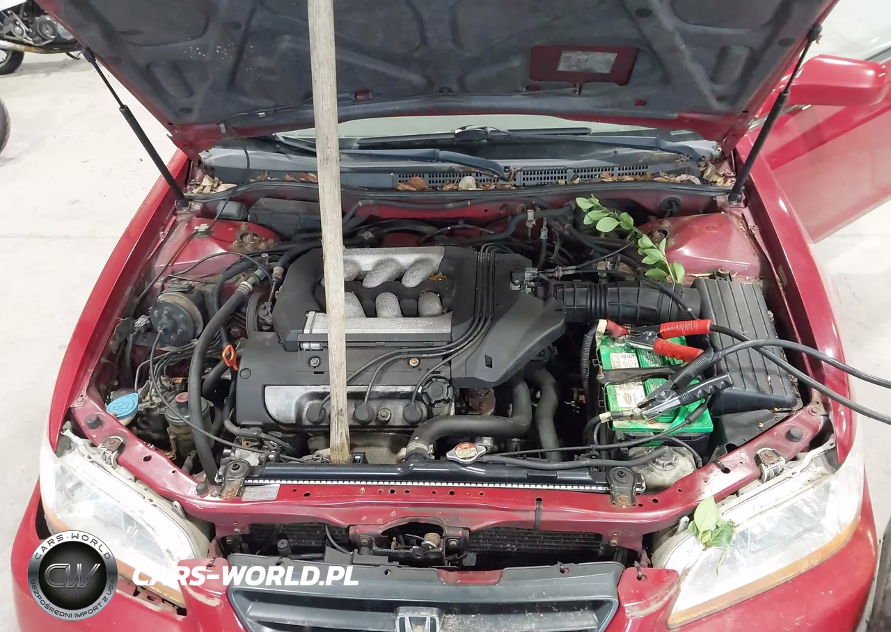 1998 Honda Accord Ex V6 VIN:1HGCG2256WA031318 - 10