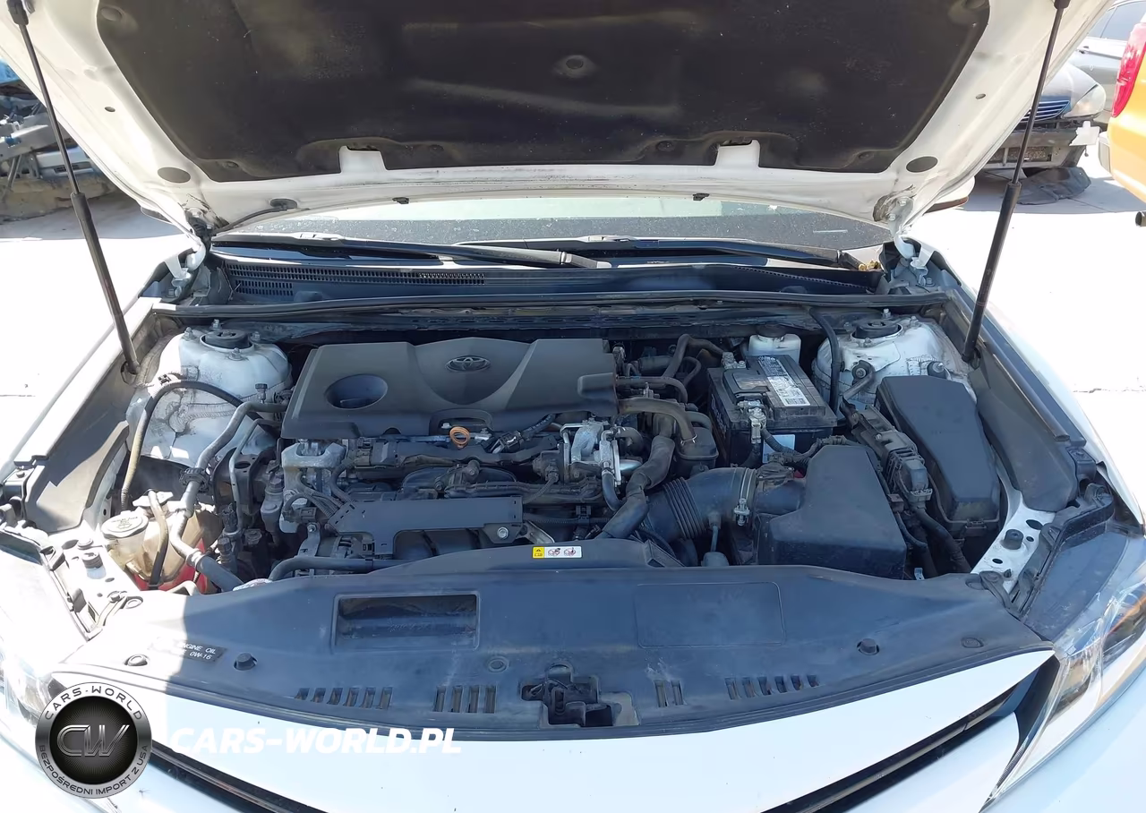 2020 Toyota Camry Le VIN:4T1C11AK1LU318752 - 10
