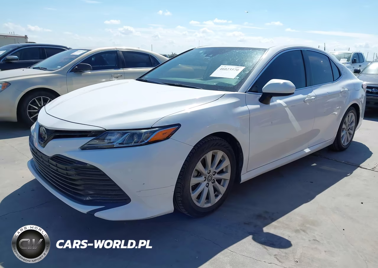 2020 Toyota Camry Le VIN:4T1C11AK1LU318752 - 2