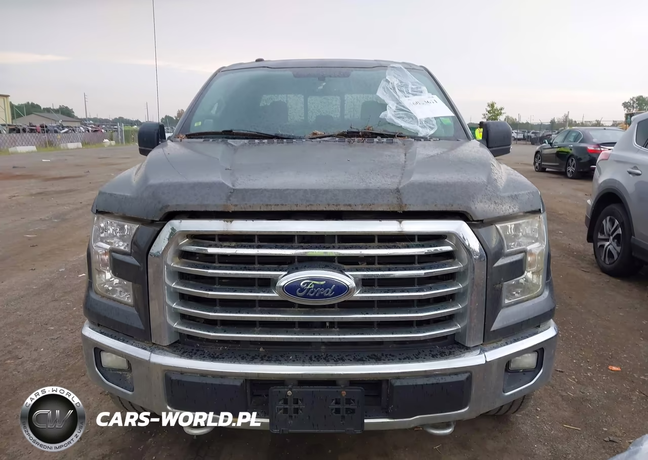 2015 Ford F-150 Xlt VIN:1FTEW1EP9FFC50908 - 12