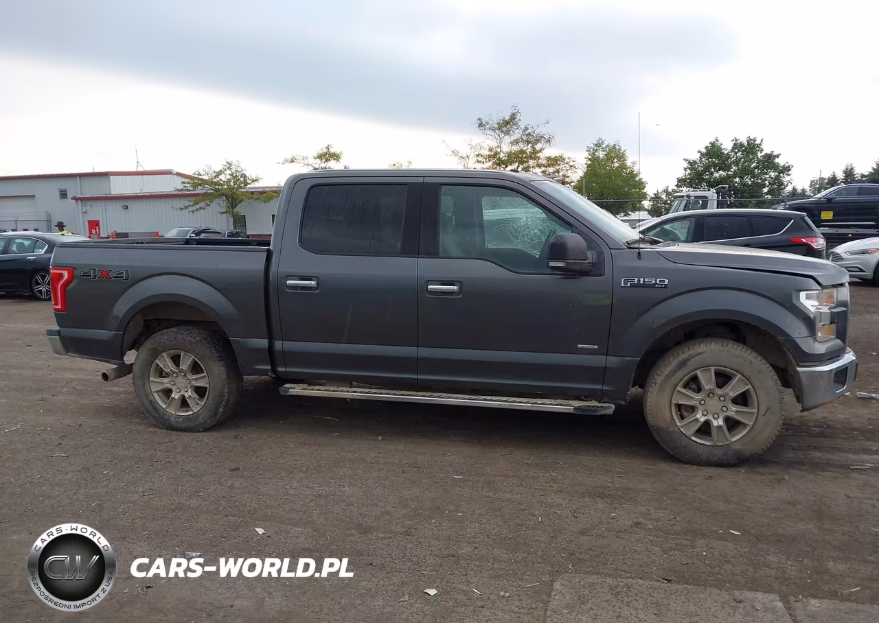 2015 Ford F-150 Xlt VIN:1FTEW1EP9FFC50908 - 13