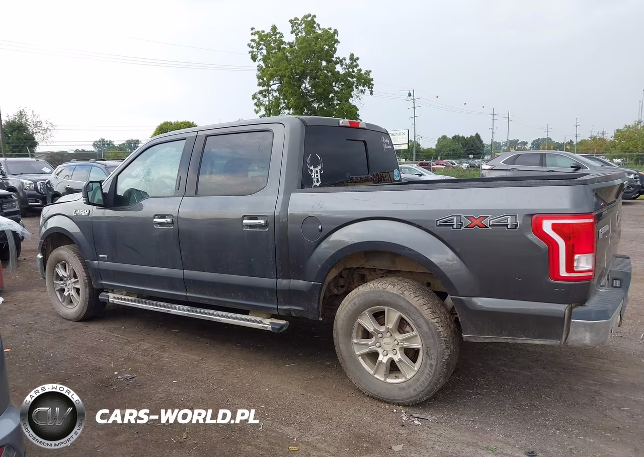 2015 Ford F-150 Xlt VIN:1FTEW1EP9FFC50908 - 14