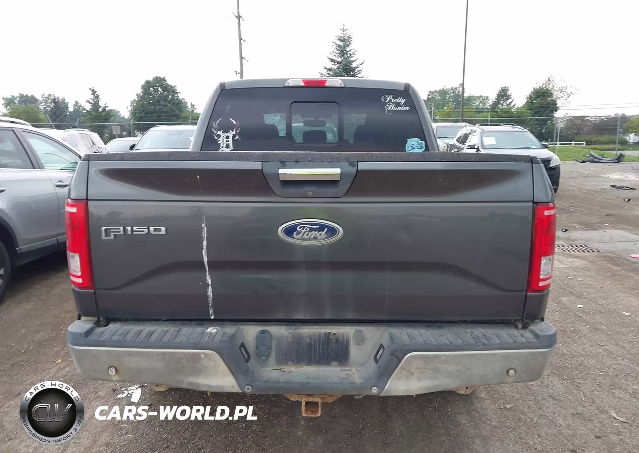 2015 Ford F-150 Xlt VIN:1FTEW1EP9FFC50908 - 16