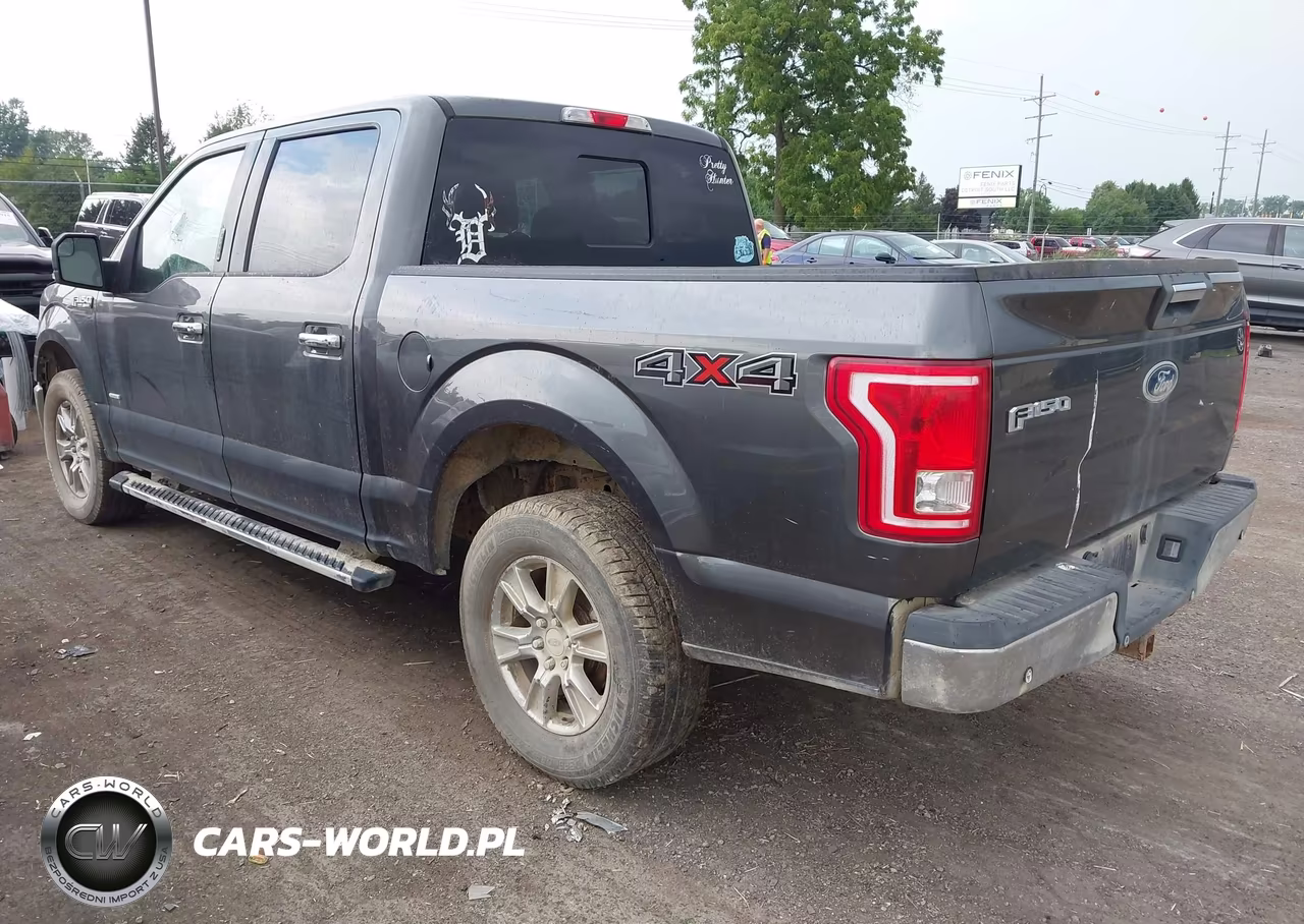 2015 Ford F-150 Xlt VIN:1FTEW1EP9FFC50908 - 3