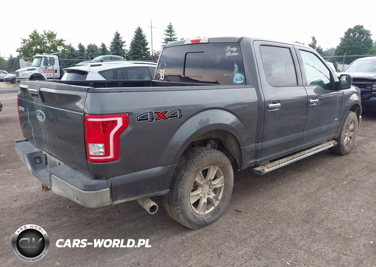 2015 Ford F-150 Xlt VIN:1FTEW1EP9FFC50908 - 4