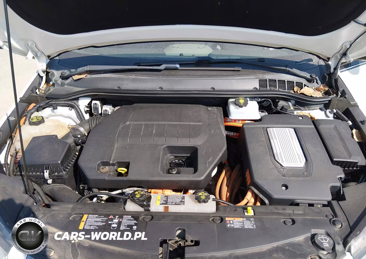 2013 Chevrolet Volt VIN:1G1RD6E49DU141439 - 10