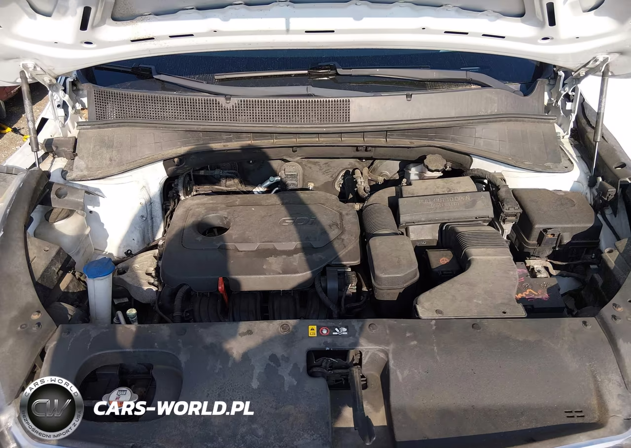 2018 Kia Sorento 2.4L Lx VIN:5XYPGDA35JG344932 - 10