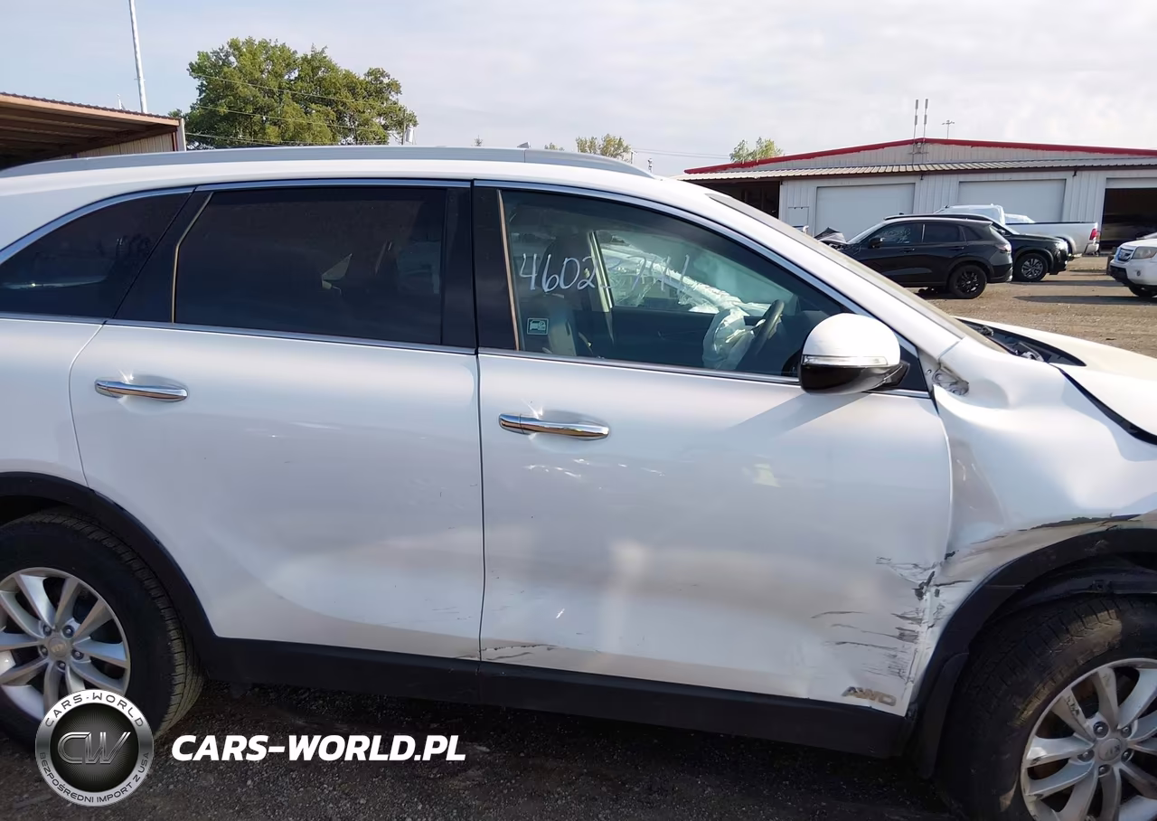2018 Kia Sorento 2.4L Lx VIN:5XYPGDA35JG344932 - 13