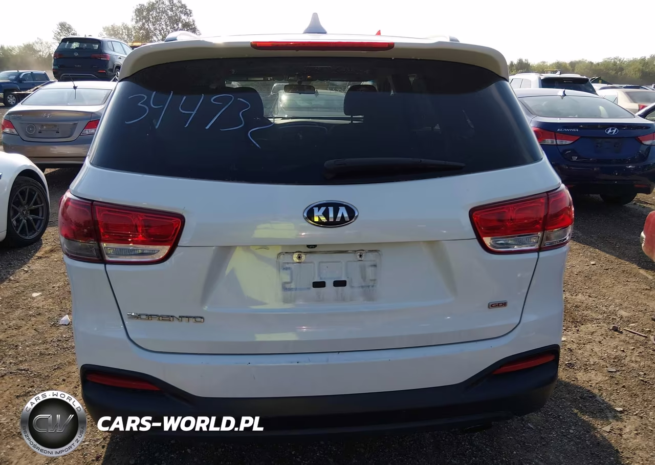 2018 Kia Sorento 2.4L Lx VIN:5XYPGDA35JG344932 - 16