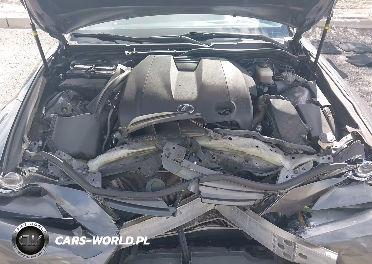 2014 Lexus Is 250 VIN:JTHBF1D27E5025303 - 10